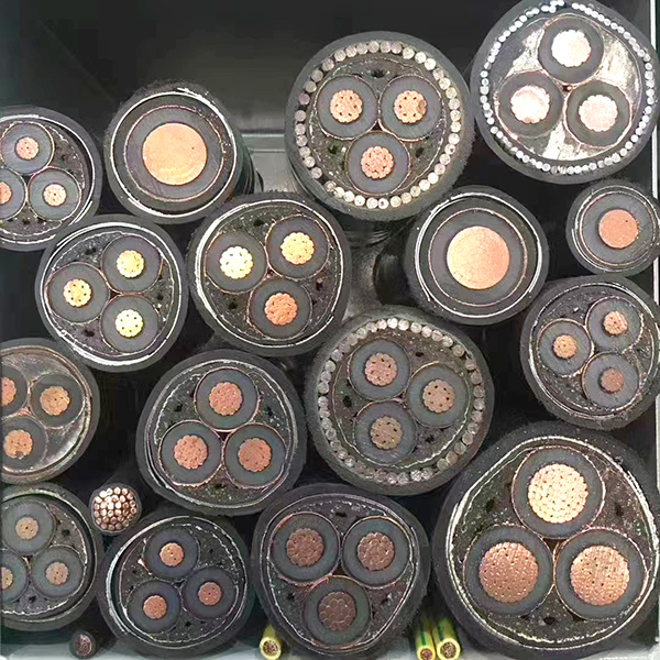 山東高壓蝴蝶视频污版下载